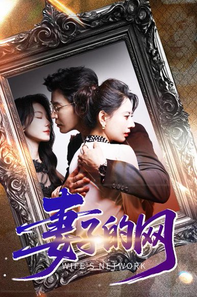 妻子的网（50集）徐香颖&王璐 高清完整版