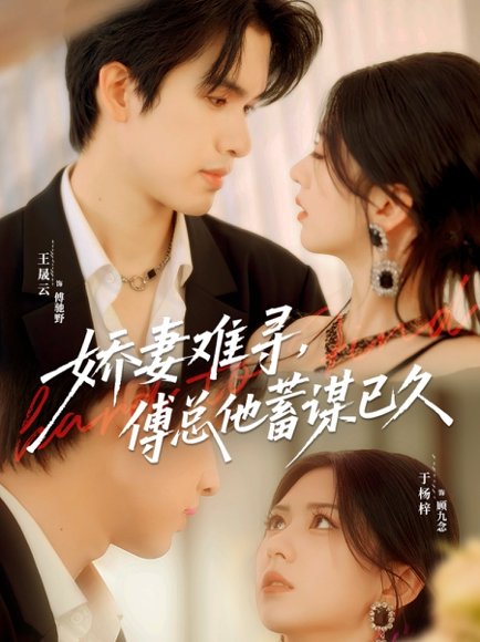 娇妻难寻，傅总他蓄谋已久（80集）王晟云＆于杨梓 高清完整版