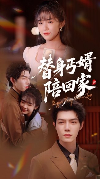 替身丐婿陪回家（35集）项云&高铭屿 高清完整版